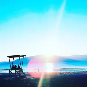 https://erions-apartment.albaniahotels.org